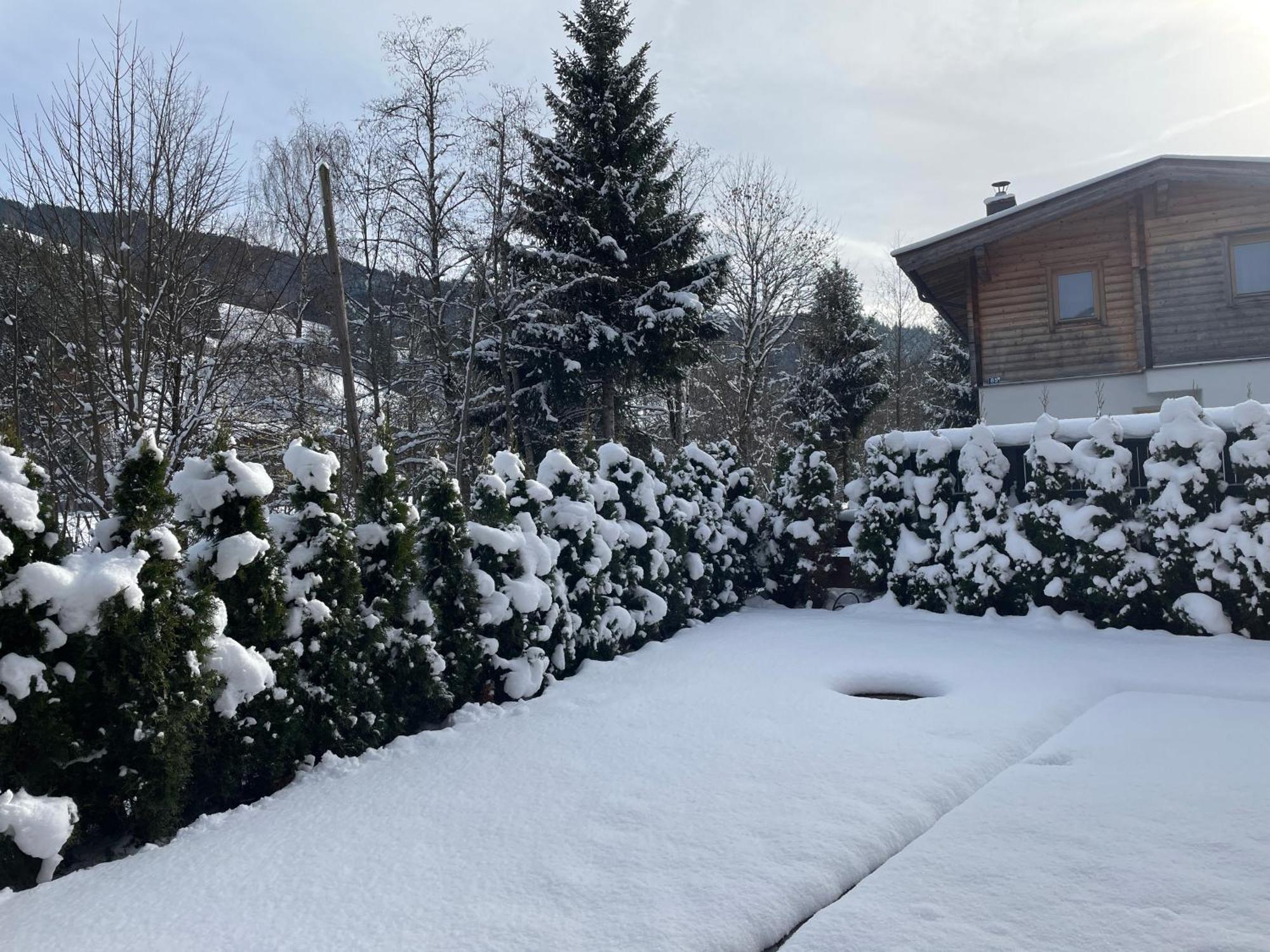 Garten Suite Kirchberg By Alpine Host Helpers Κίρχμπεργκ ιν Τιρόλ Εξωτερικό φωτογραφία